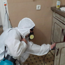 Дезинфекция от муравьев в квартире в Рассказово