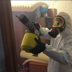 Уничтожение клопов в квартире. Рассказово